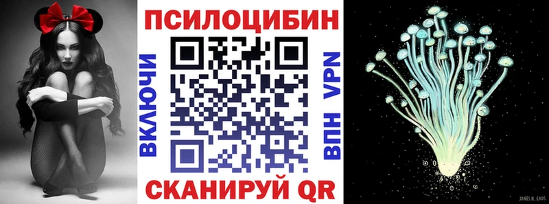 Псилоцибиновые грибы Psilocybine cubensis  сколько стоит  Терек 